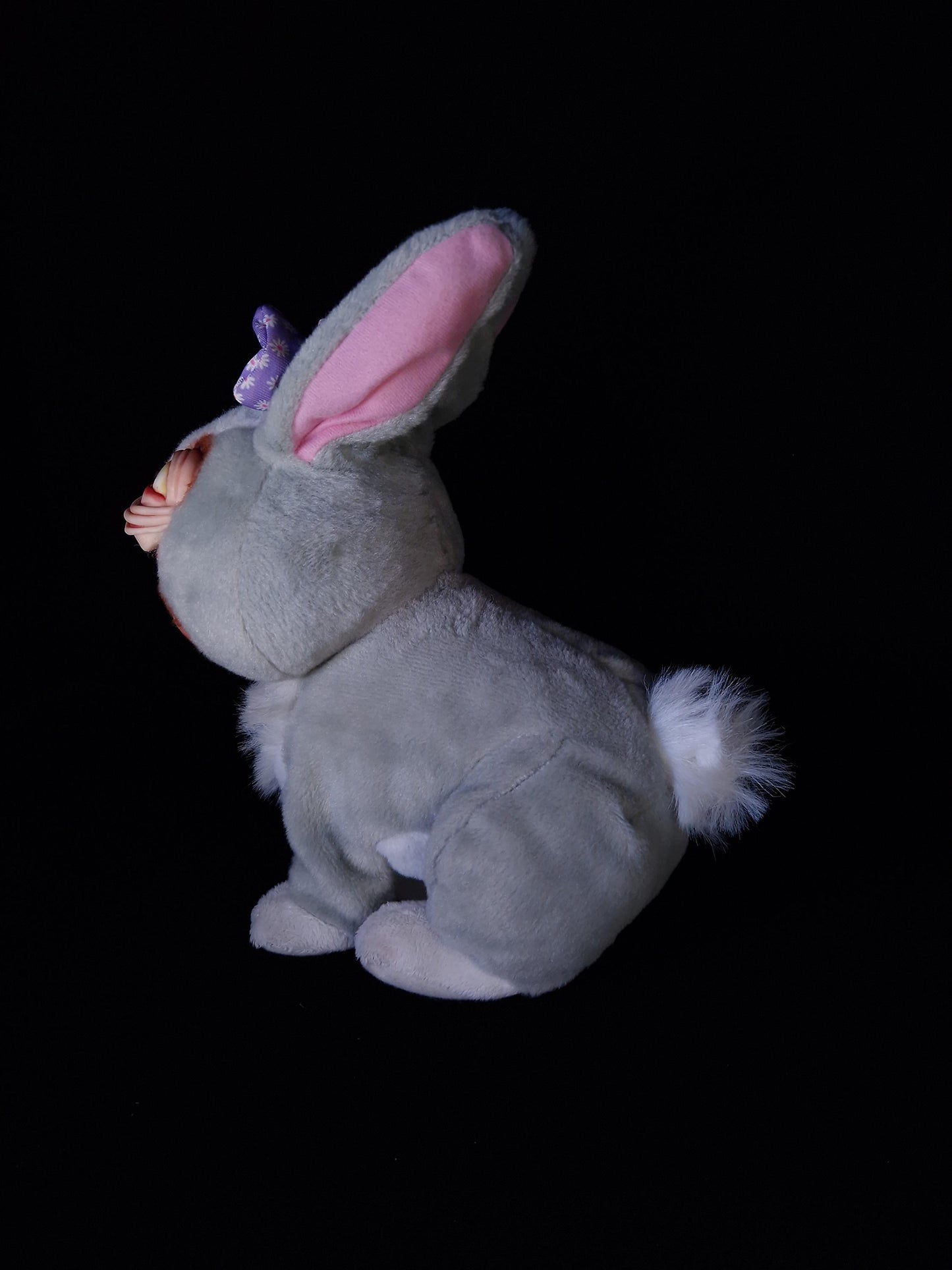 Confused looking rabbit