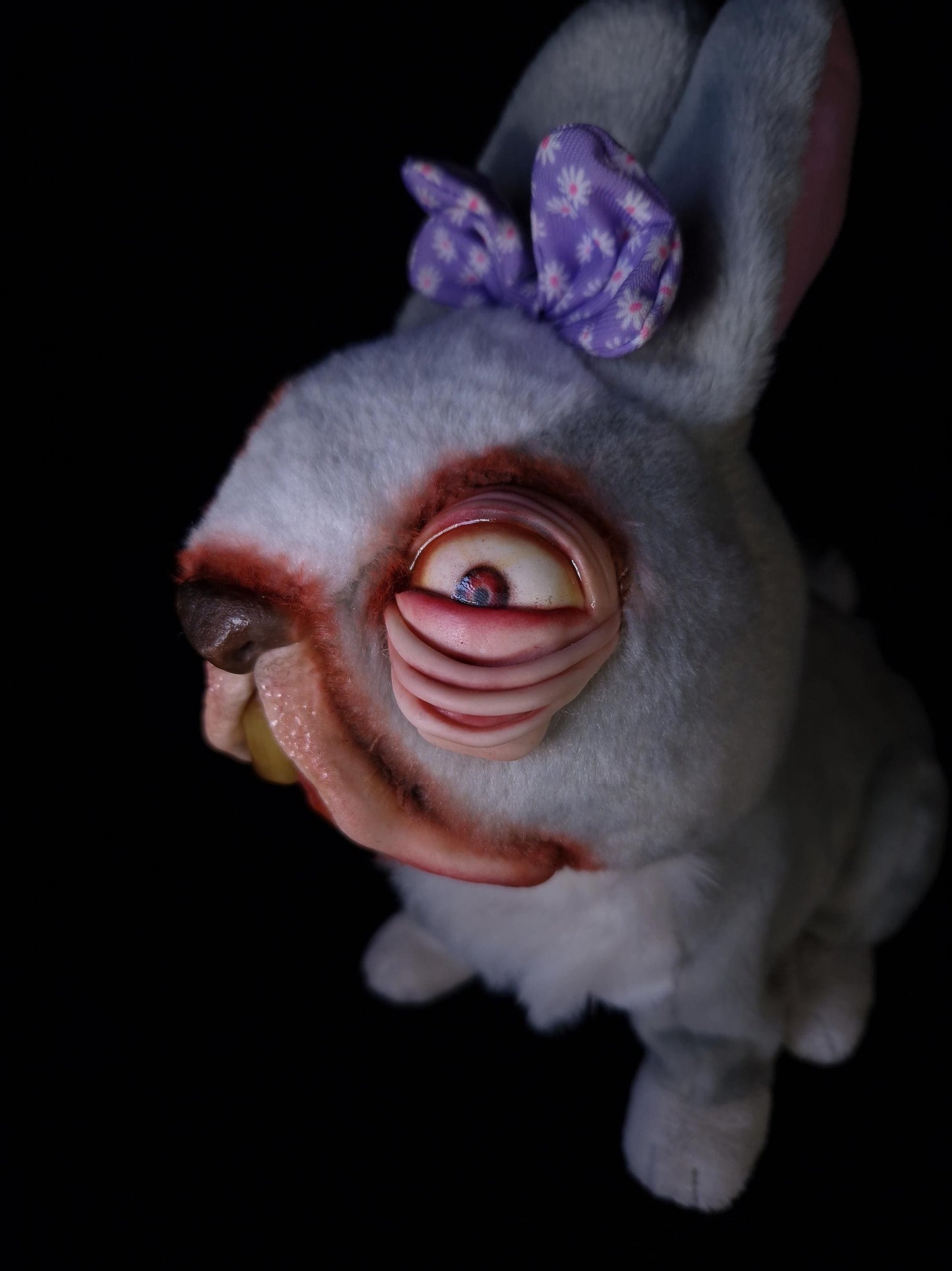 Confused looking rabbit