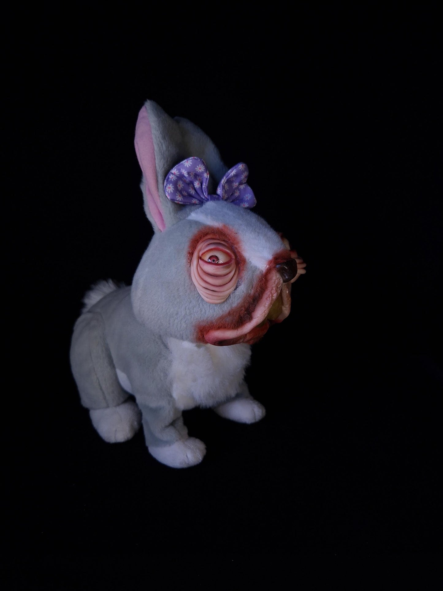 Confused looking rabbit