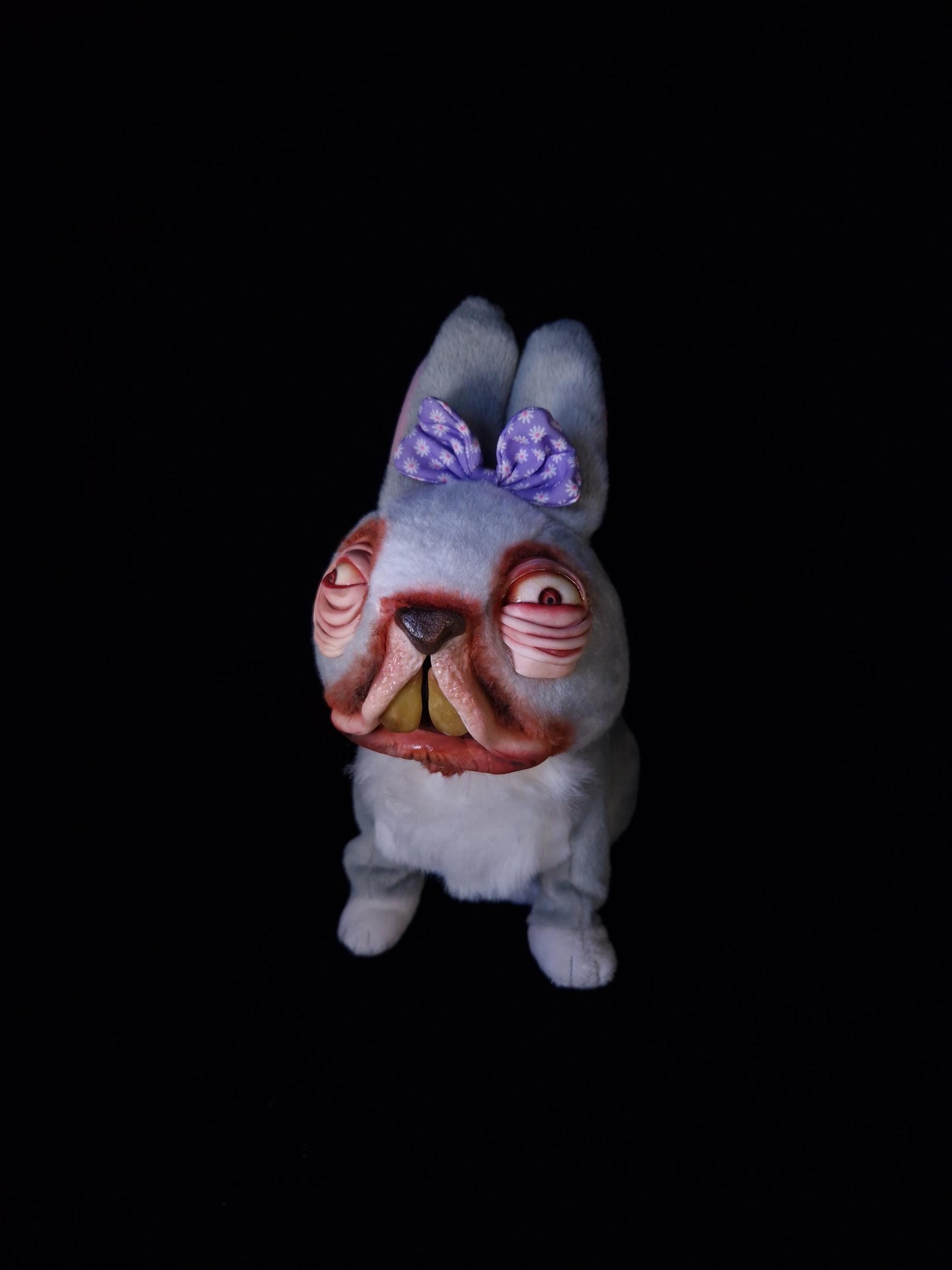 Confused looking rabbit