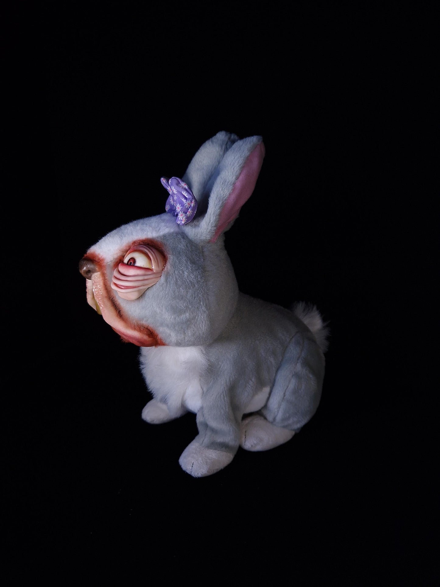 Confused looking rabbit