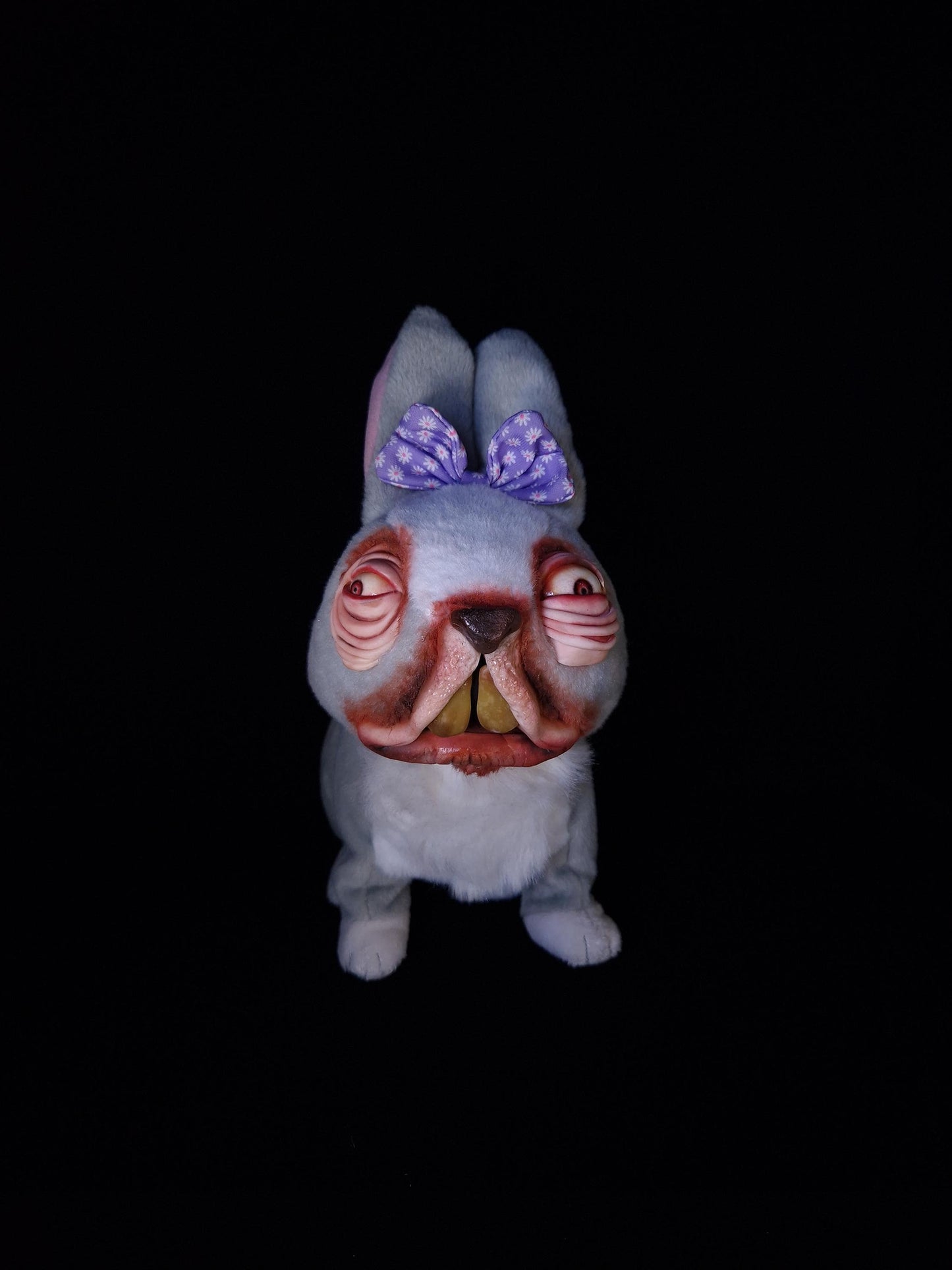 Confused looking rabbit