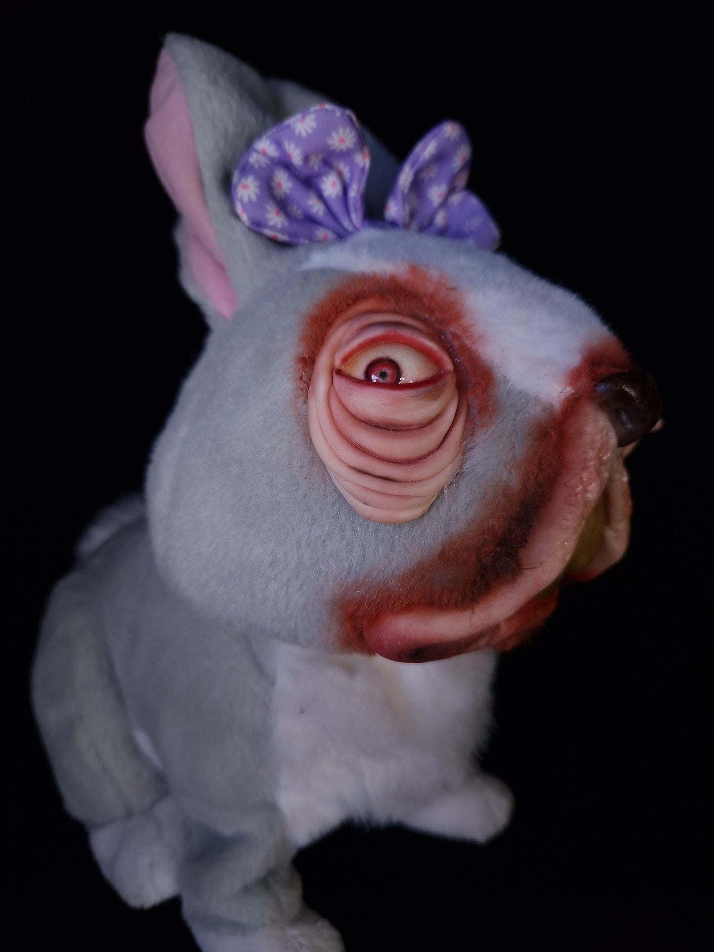 Confused looking rabbit
