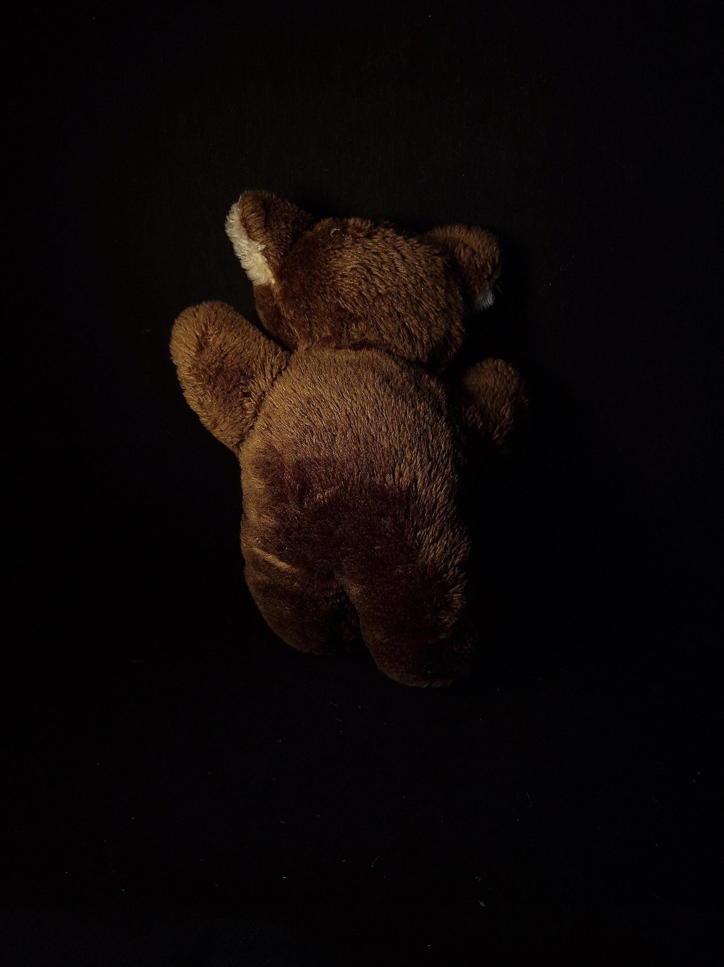 Don't eat my fingers teddy bear